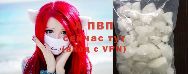 apvp Алексин