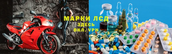 apvp Алексин
