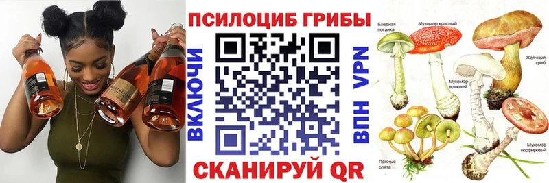 купить закладку  Калтан  ссылка на мегу сайт  Псилоцибиновые грибы MAGIC MUSHROOMS 